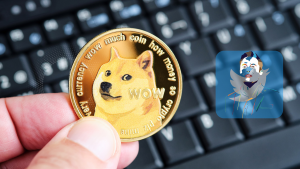 Die Dogecoin Fokussierte Änderung von Twitter Verursacht Aufregung in der Kryptowelt!